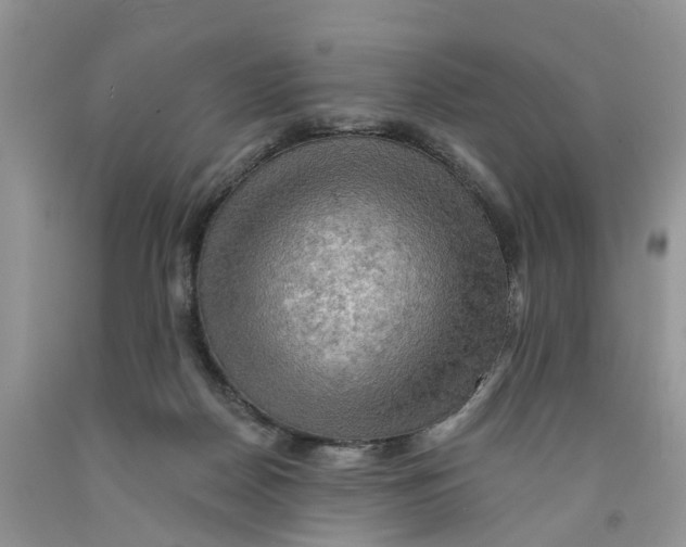 X0000091290170200709071039