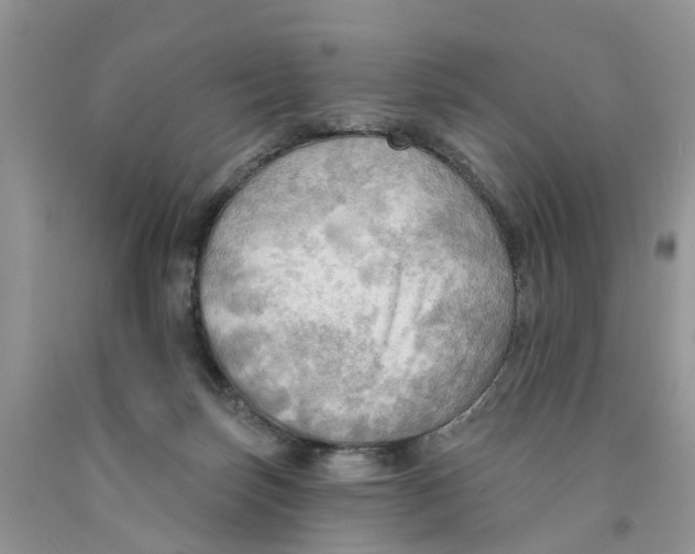 X0000091290171200709071040