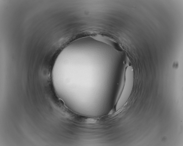 X0000091290176200709071040