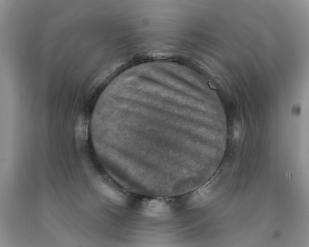 X0000091290180200709071040