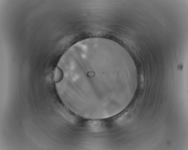 X0000091290181200709071040