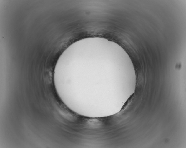 X0000091290183200709071040