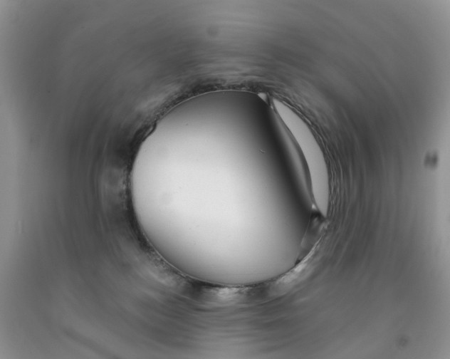 X0000091290184200709071040