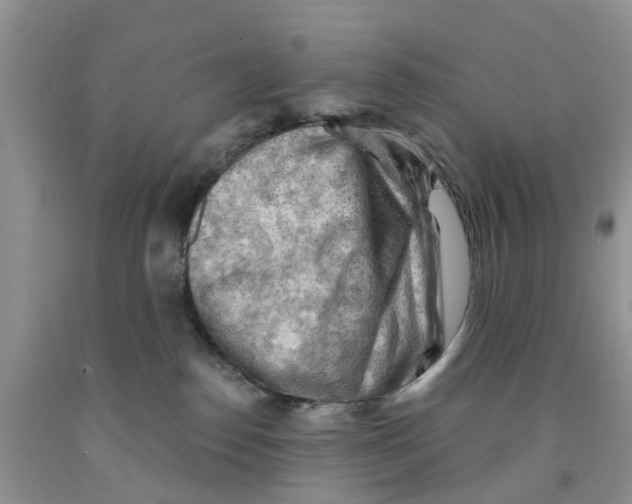 X0000091290186200709071040