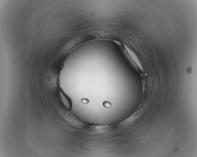 X0000091290188200709071040