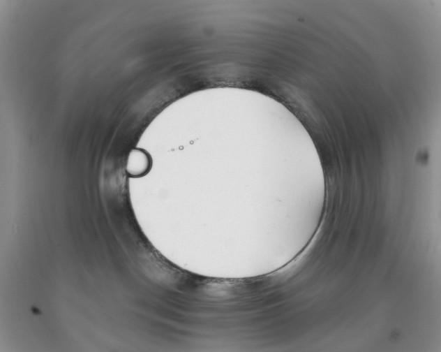 X0000091290190200709071040