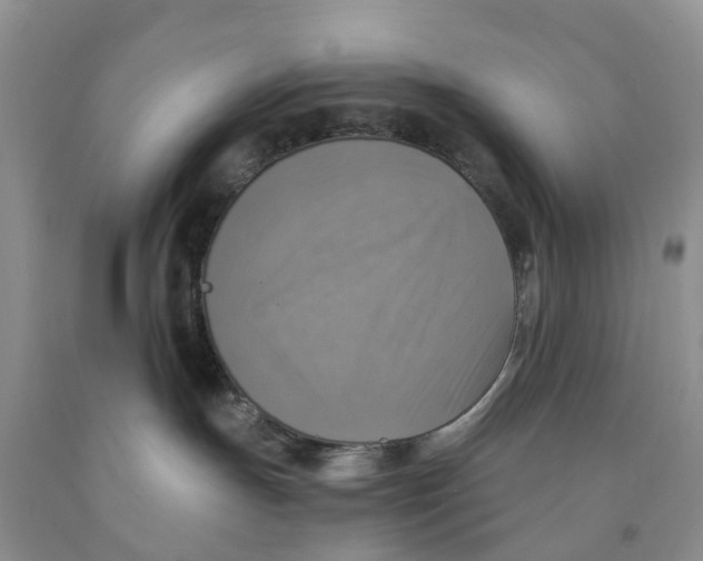 X0000091290191200709071040