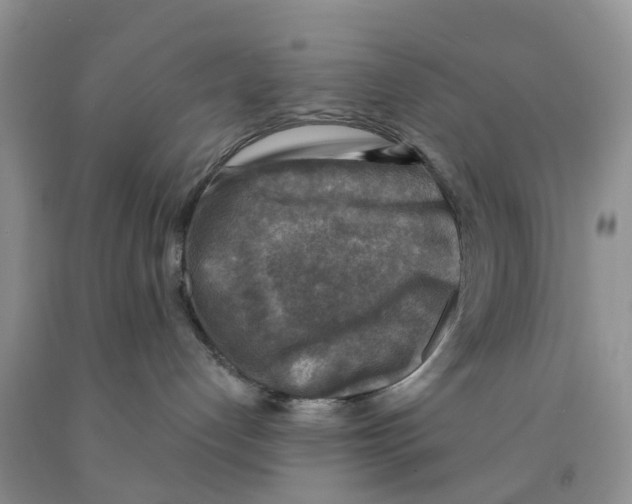 X0000091290192200709071040