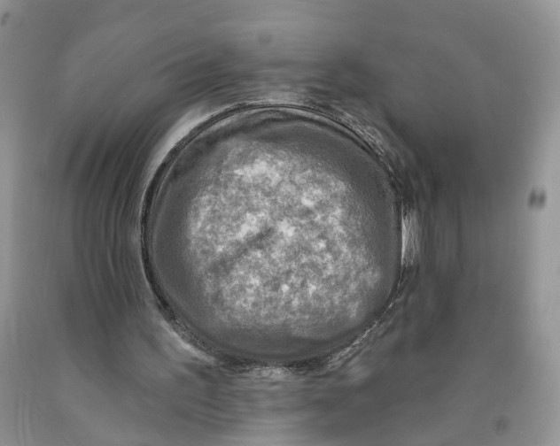 X0000091290195200709071039