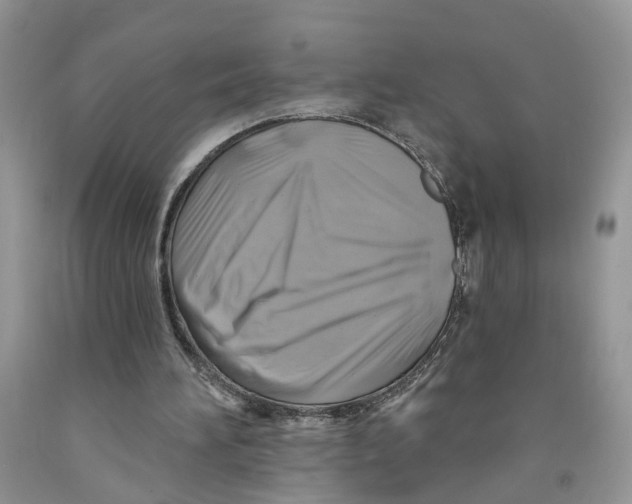 X0000091290196200709071039