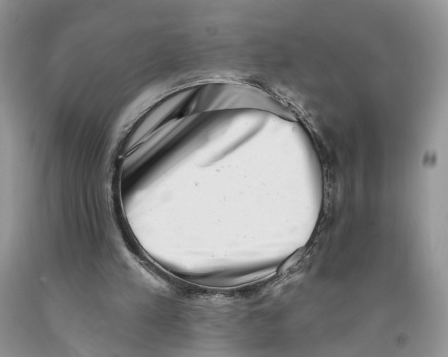 X0000091290197200709071039