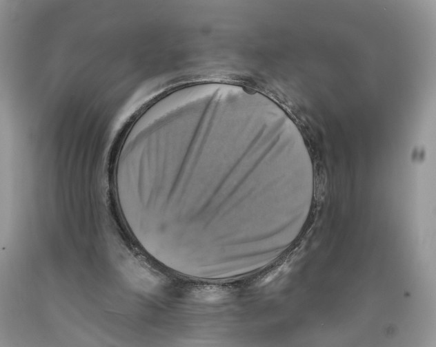 X0000091290198200709071039