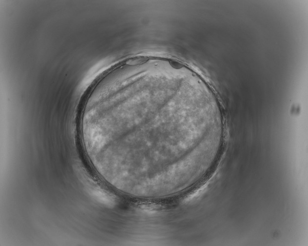 X0000091290199200709071039