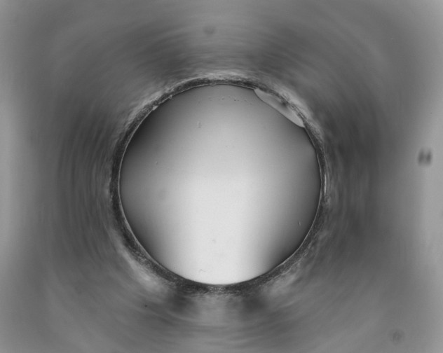 X0000091290201200709071039