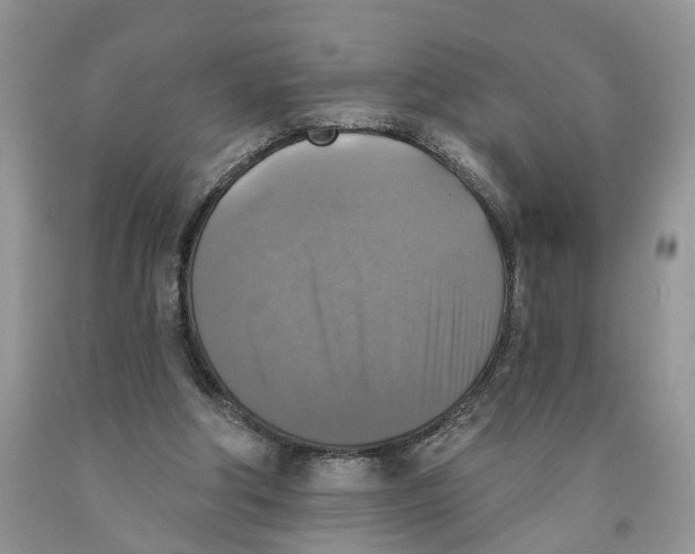 X0000091290202200709071039