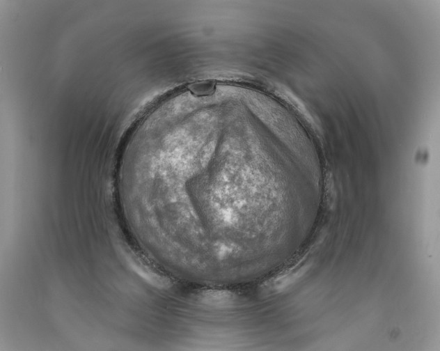 X0000091290203200709071039