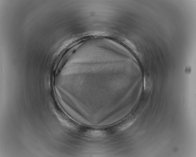 X0000091290205200709071039