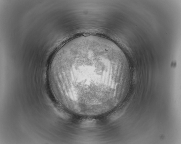 X0000091290206200709071039