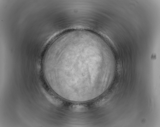 X0000091290208200709071039