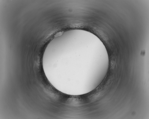 X0000091290211200709071039