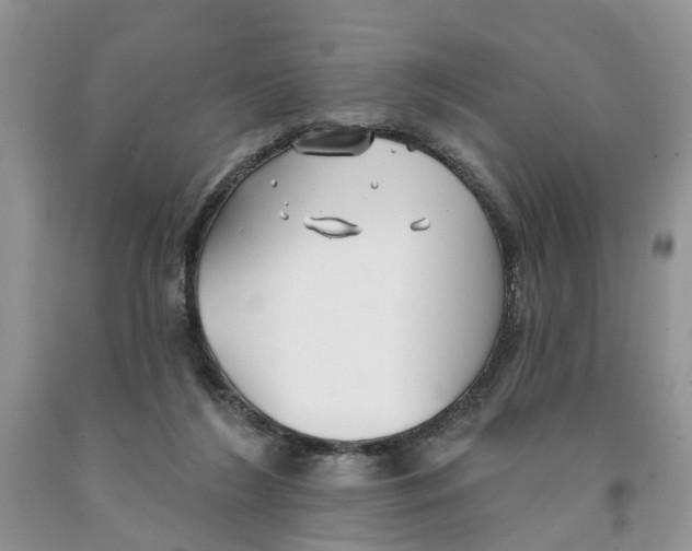 X0000091290212200709071039