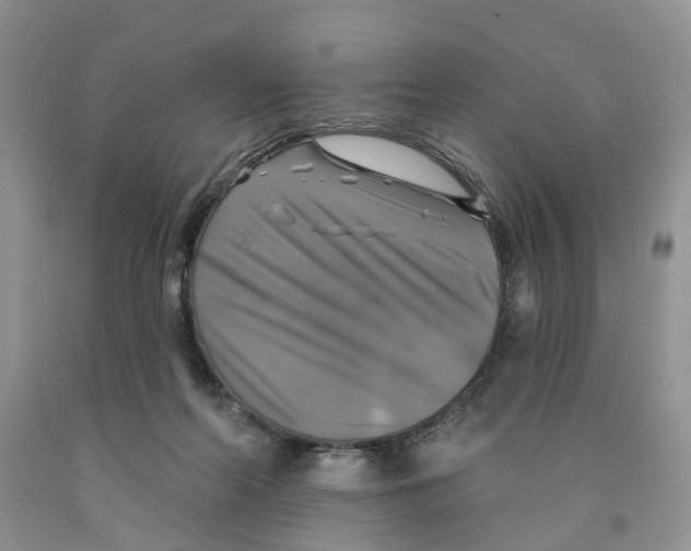 X0000091290214200709071039