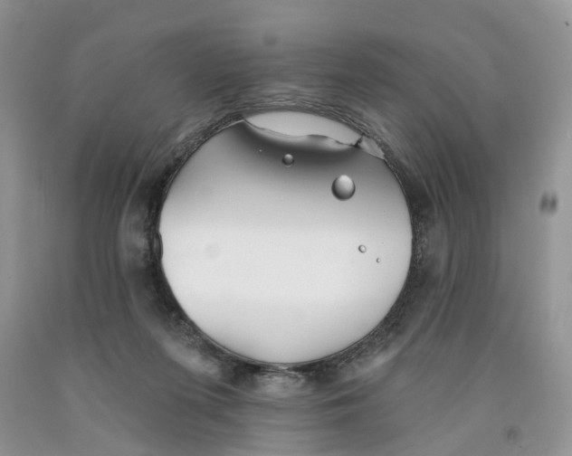 X0000091290215200709071039