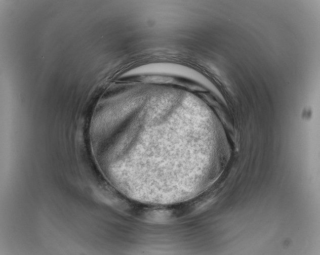 X0000091290217200709071039