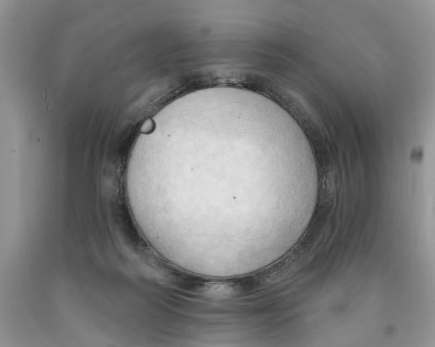 X0000091290218200709071039