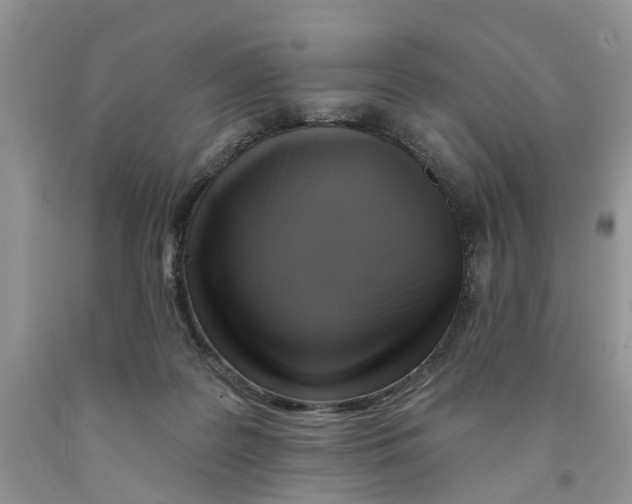 X0000091290219200709071039