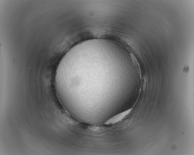 X0000091290221200709071039