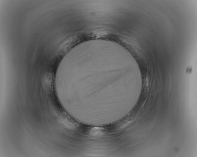 X0000091290222200709071039