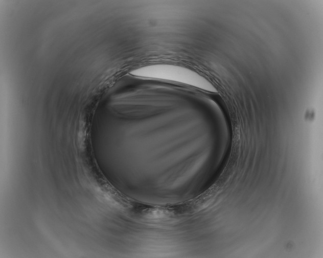 X0000091290223200709071039