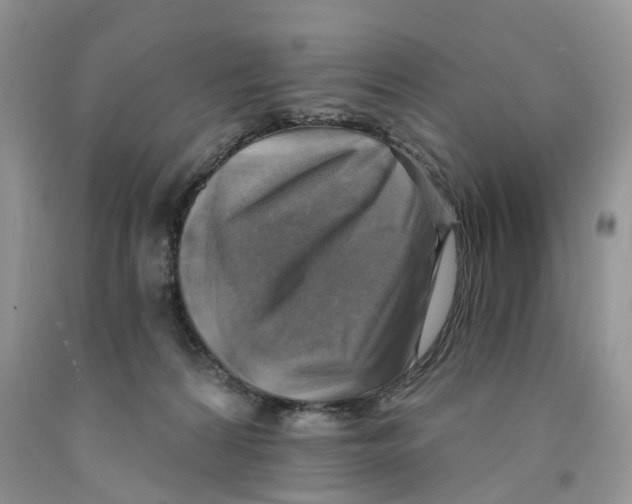 X0000091290224200709071039