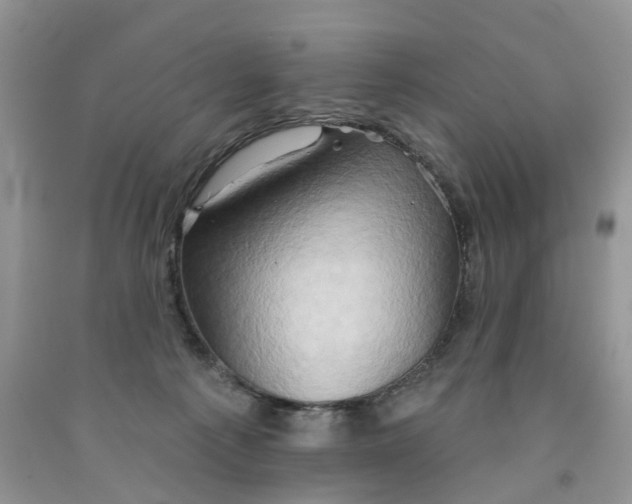 X0000091290225200709071039