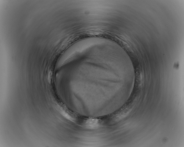 X0000091290227200709071039