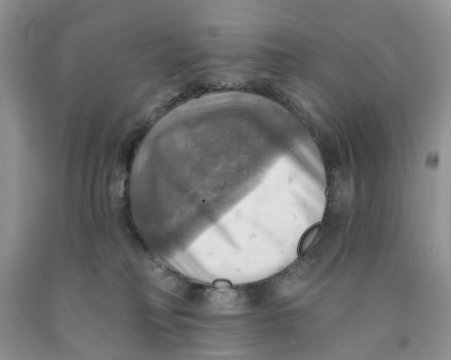 X0000091290230200709071039