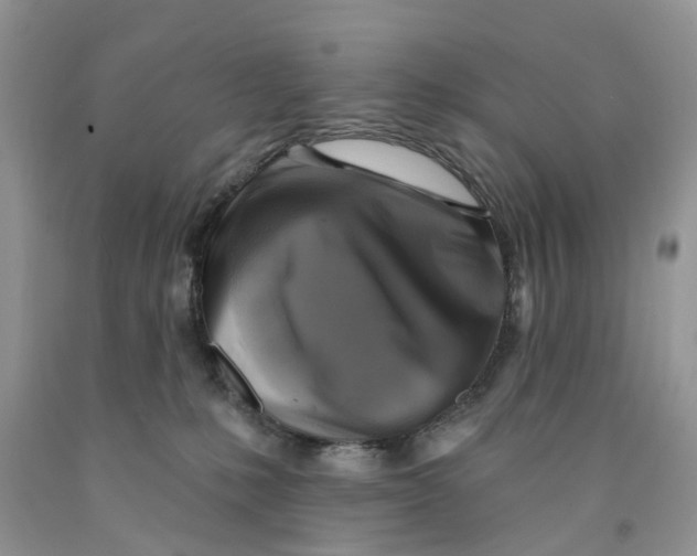 X0000091290231200709071039