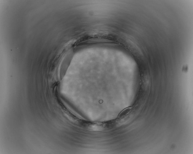 X0000091290232200709071039