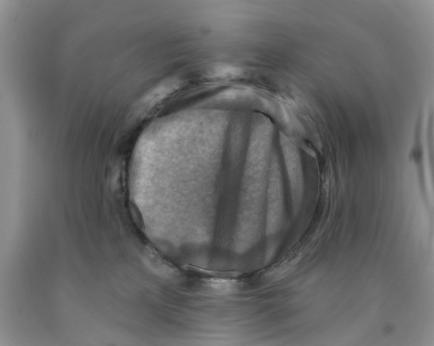 X0000091290233200709071039