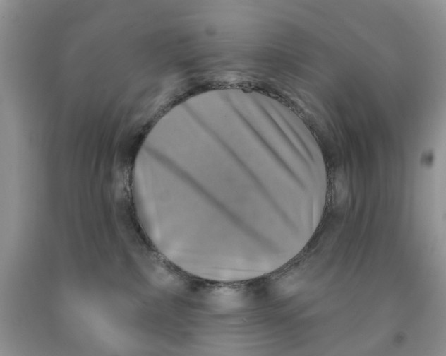 X0000091290236200709071038