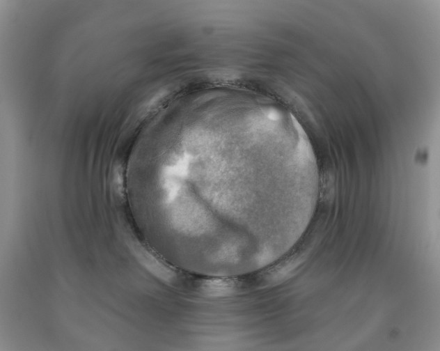 X0000091290238200709071038