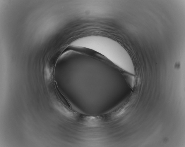 X0000091290239200709071038