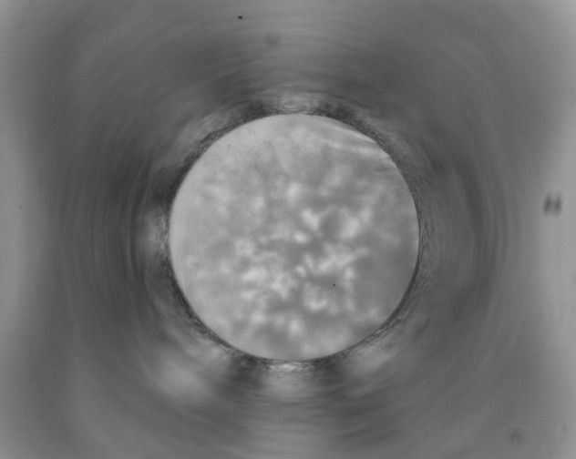 X0000091290240200709071038