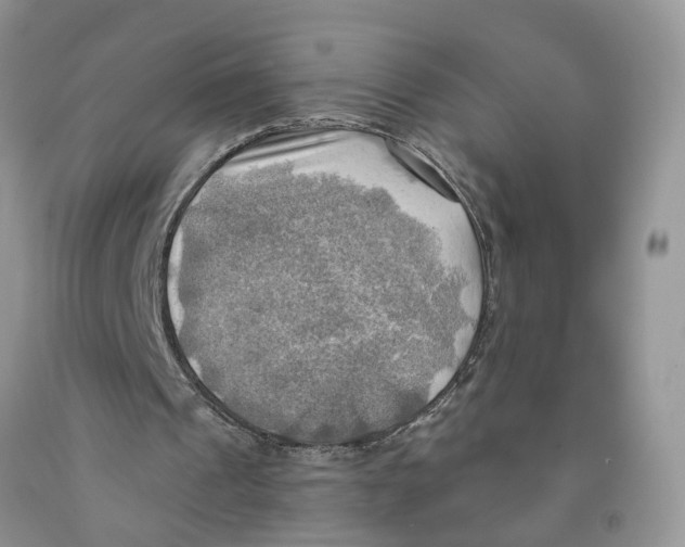 X0000091290241200709071038