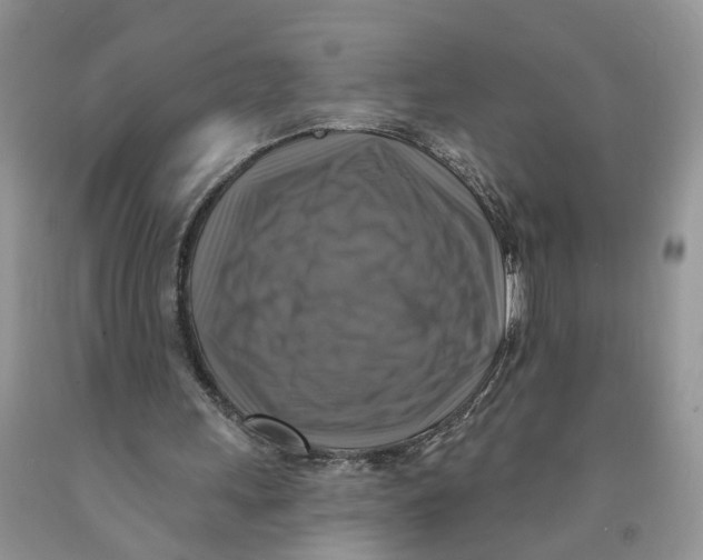 X0000091290243200709071038