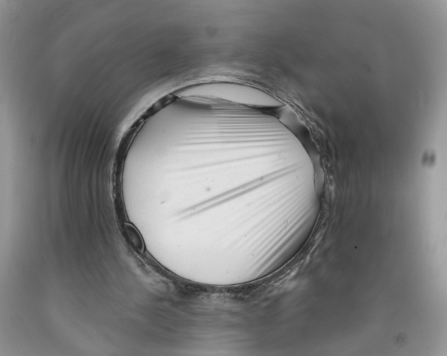 X0000091290244200709071038