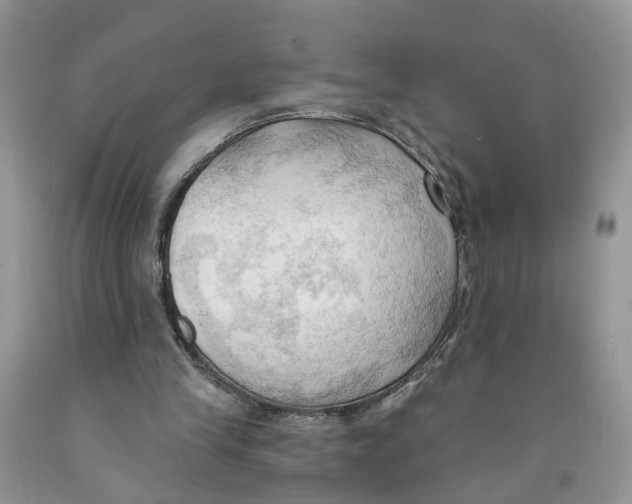 X0000091290245200709071038