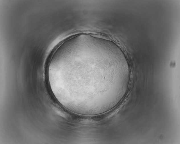 X0000091290246200709071038