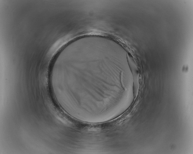 X0000091290247200709071038